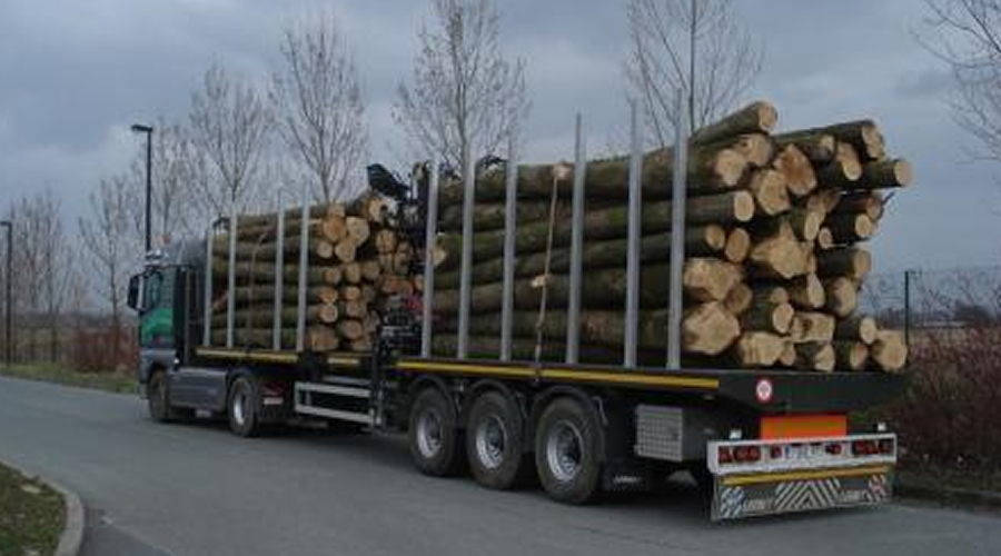 BOIS NORD: Lading boomstammen 5 meter